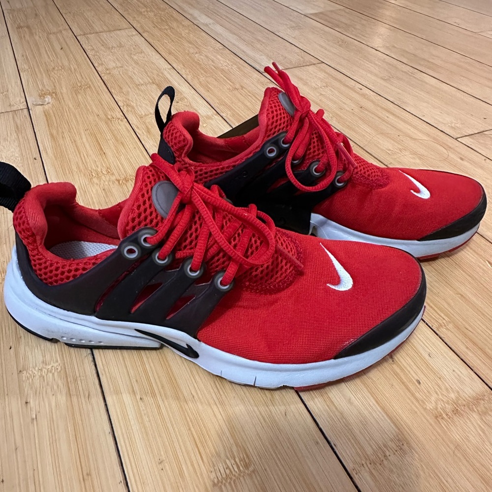 Roche Runs